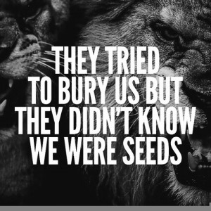 If Only They Knew We Were Seeds